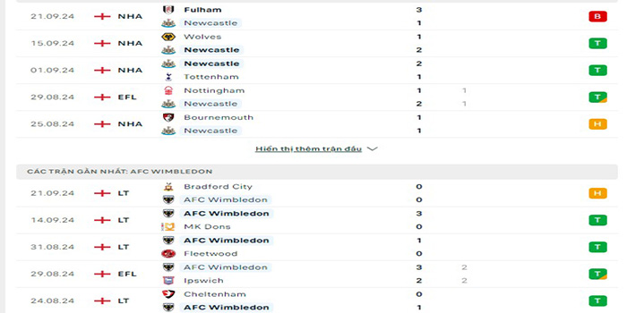 Phong độ thi đấu Newcastle vs Wimbledon